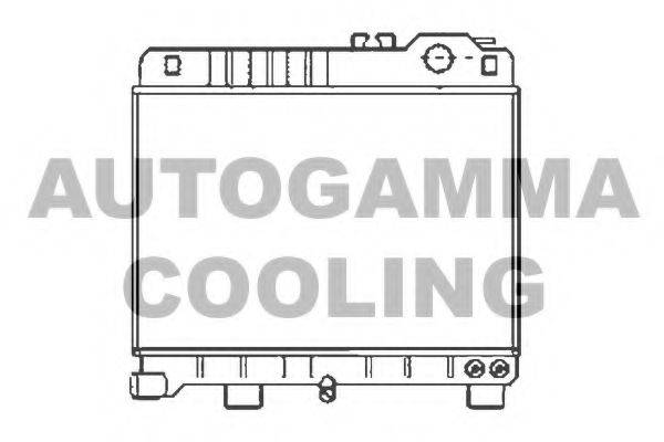 Радиатор, охлаждение двигателя 100086 AUTOGAMMA