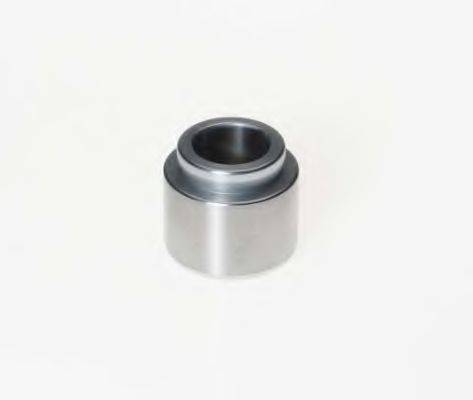 Поршень, корпус скобы тормоза 233301 BUDWEG CALIPER