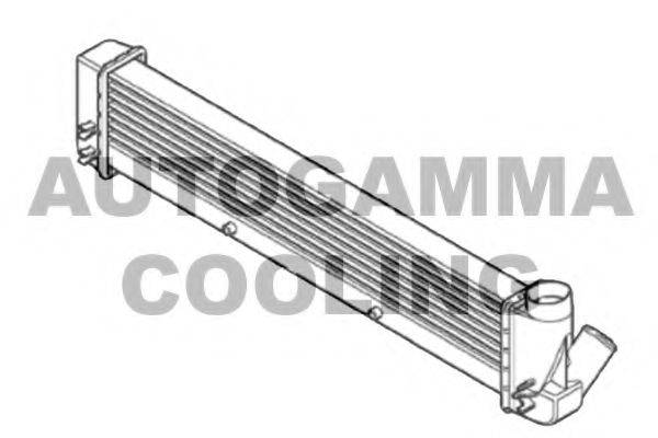 Интеркулер 105686 AUTOGAMMA