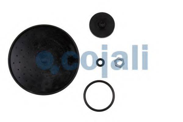 Ремкомплект 6012084 COJALI