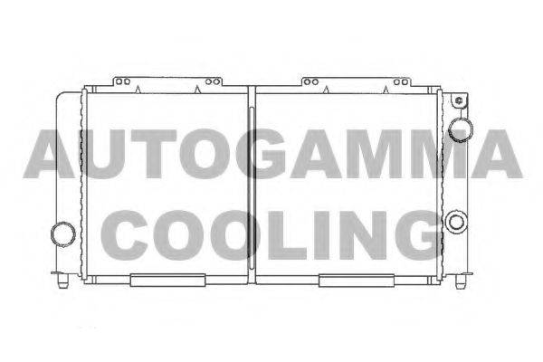 Радиатор, охлаждение двигателя 100003 AUTOGAMMA