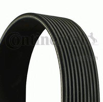 Ремень поликлиновый 10PK1505 10PK1505 CONTITECH