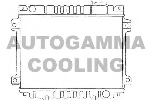 Радиатор, охлаждение двигателя 100494 AUTOGAMMA