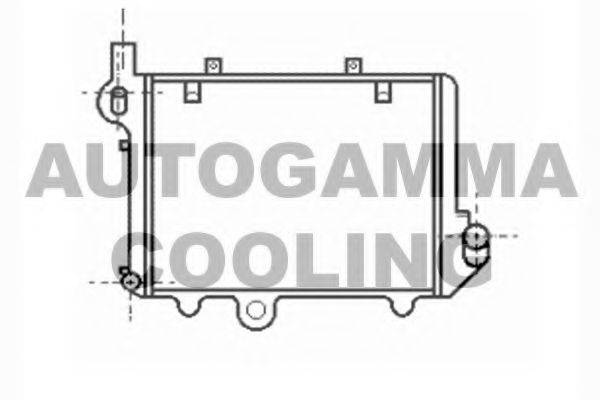 Теплообменник 104356 AUTOGAMMA