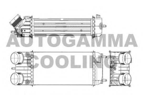 Теплообменник 105896 AUTOGAMMA