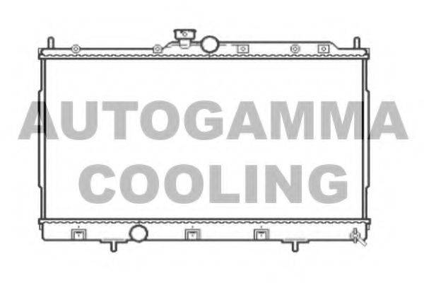 Теплообменник 104605 AUTOGAMMA