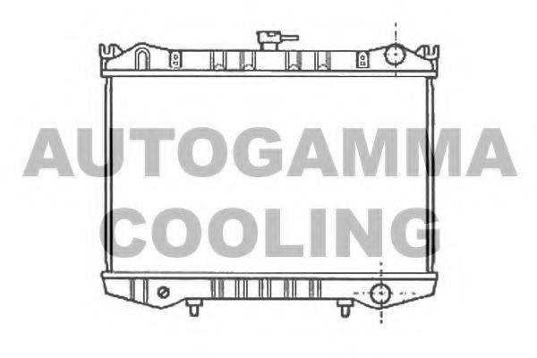 Теплообменник 100620 AUTOGAMMA