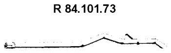 Труба выхлопного газа 84.101.73 EBERSPACHER