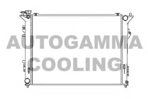 Теплообменник 104834 AUTOGAMMA