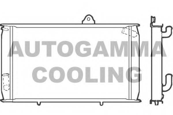 Теплообменник 100025 AUTOGAMMA