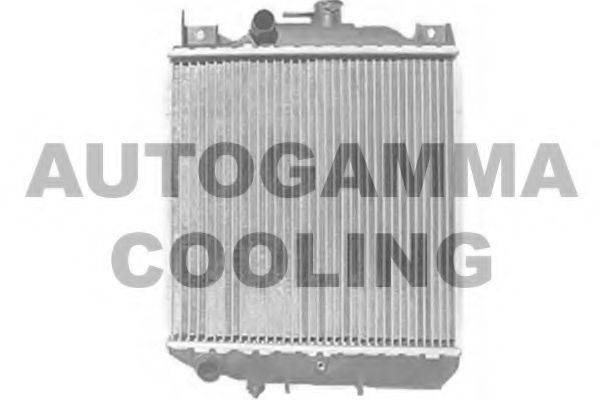 Теплообменник 102330 AUTOGAMMA