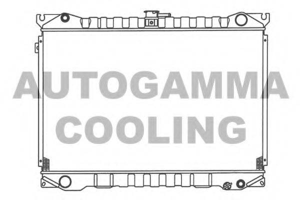 Теплообменник 100610 AUTOGAMMA