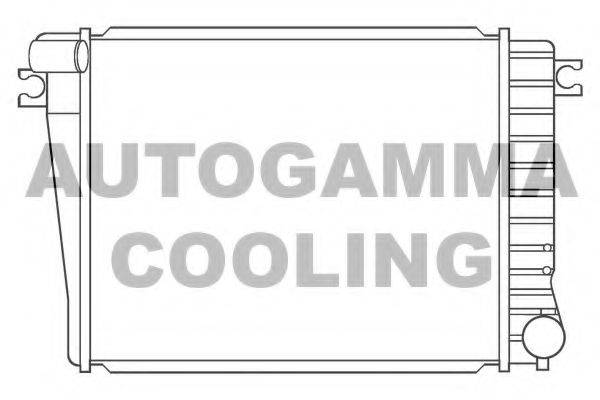 Радиатор, охлаждение двигателя 100134 AUTOGAMMA