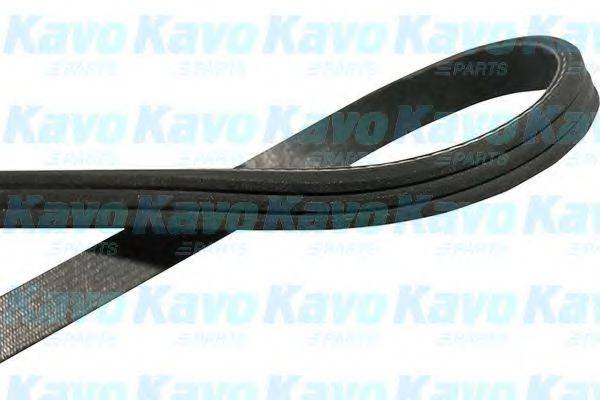 Поликлиновой ремень DMV-1509 KAVO PARTS