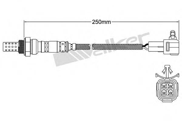 Лямбда-зонд 250-24770 WALKER PRODUCTS