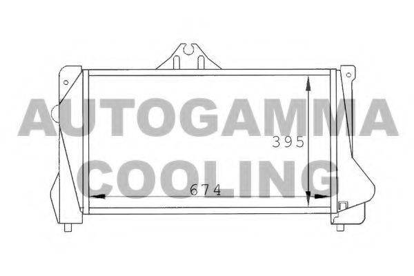 Интеркулер 101486 AUTOGAMMA