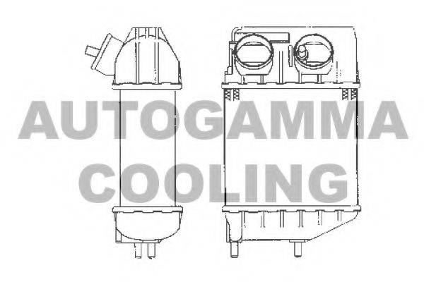 Теплообменник 101953 AUTOGAMMA