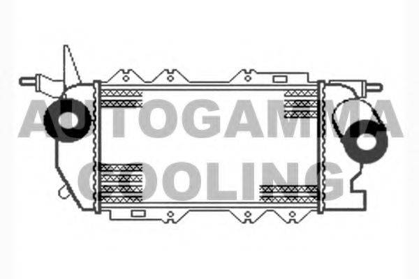 Интеркулер 104045 AUTOGAMMA