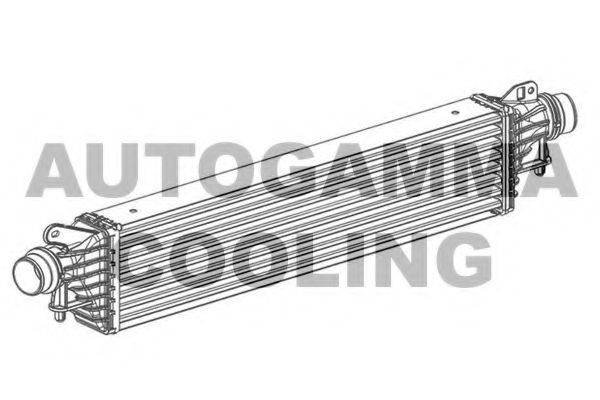 Теплообменник 107549 AUTOGAMMA