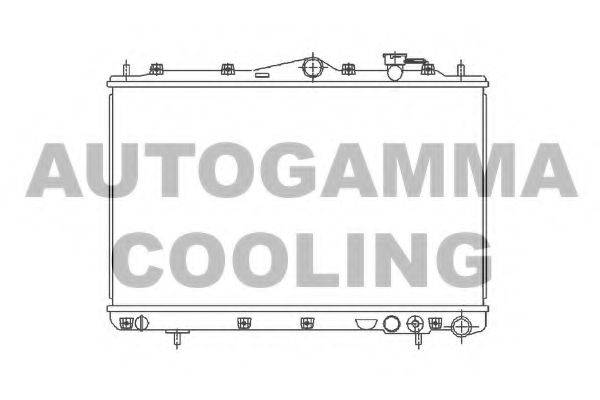 Теплообменник 101559 AUTOGAMMA