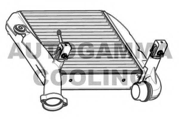 Теплообменник 107558 AUTOGAMMA