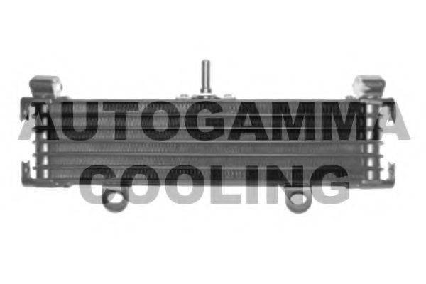 Теплообменник 110000 AUTOGAMMA