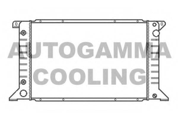 Теплообменник 102080 AUTOGAMMA