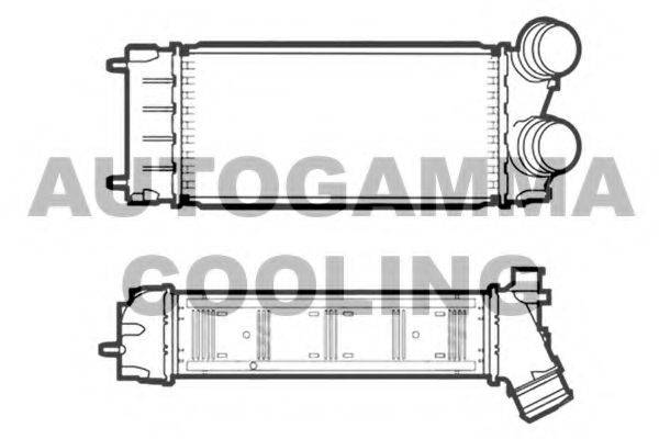 Интеркулер 107467 AUTOGAMMA