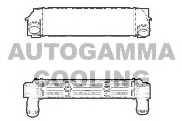 Интеркулер 107306 AUTOGAMMA