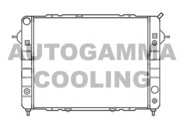 Теплообменник 102243 AUTOGAMMA