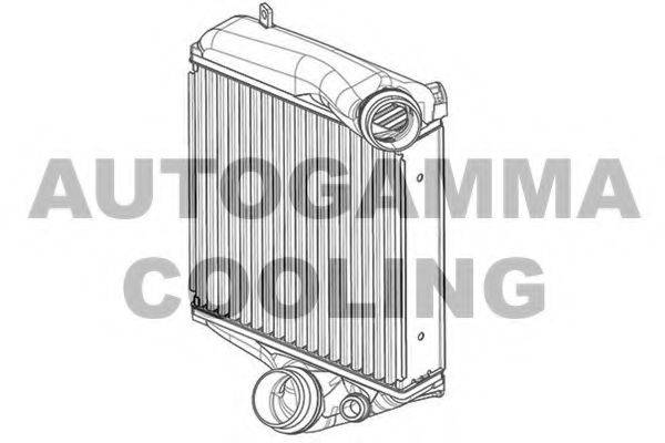 Теплообменник 107556 AUTOGAMMA