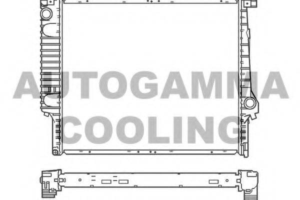 Теплообменник 100100 AUTOGAMMA