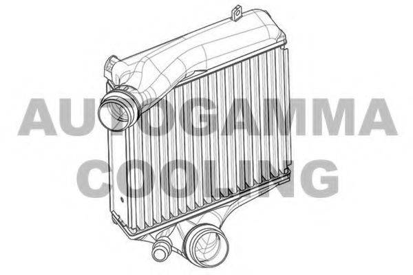 Теплообменник 107557 AUTOGAMMA