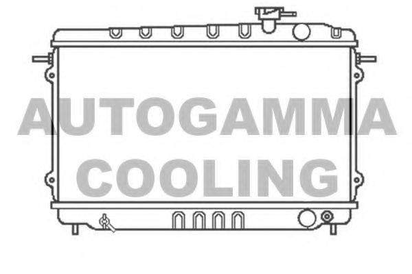 Теплообменник 100401 AUTOGAMMA