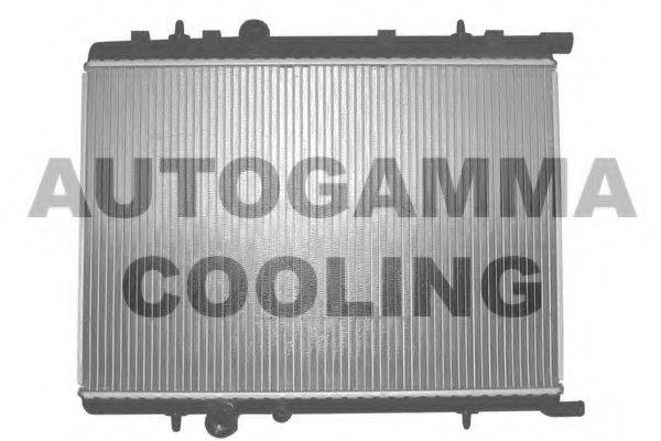 Теплообменник 102878 AUTOGAMMA