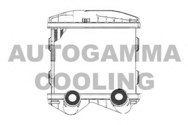 Теплообменник 102409 AUTOGAMMA