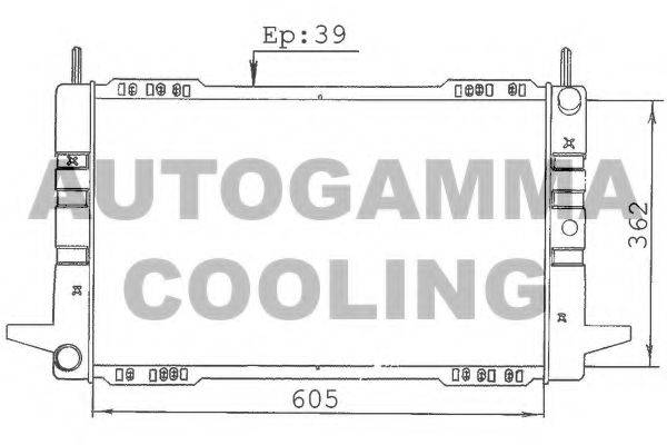 Радиатор, охлаждение двигателя 100365 AUTOGAMMA
