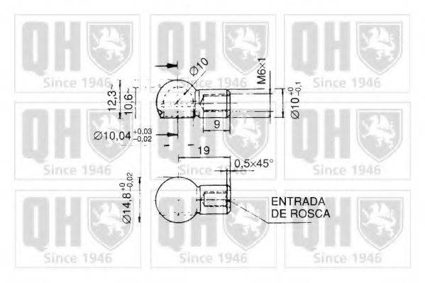 Газовая пружина, крышка багажник QTS128438 QUINTON HAZELL