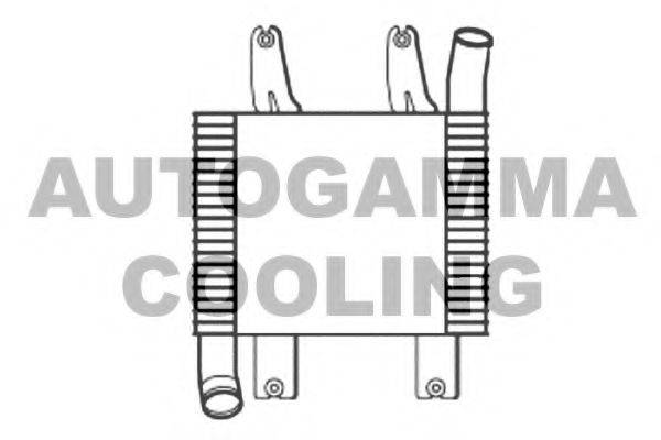 Интеркулер 107071 AUTOGAMMA